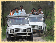 Jeep Safari Kaziranga