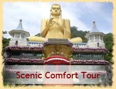 Scenic Comfort Tour