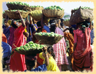 Orissa Weekly Market