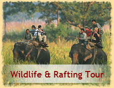 Wildlife & Rafting Tour